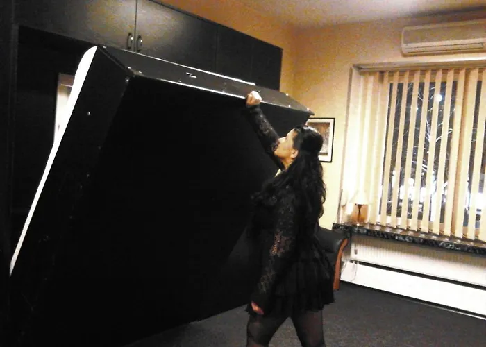 شقة 4stars Dali-nottara *