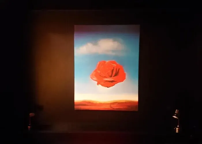 4stars Dali-nottara شقة *